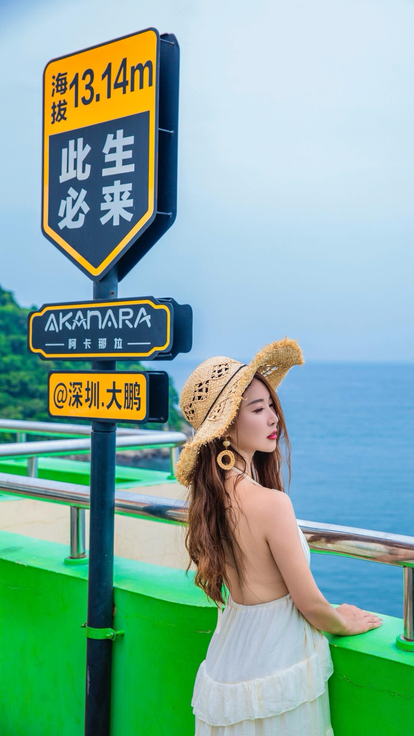 杨梅坑鹿嘴山庄截图4
